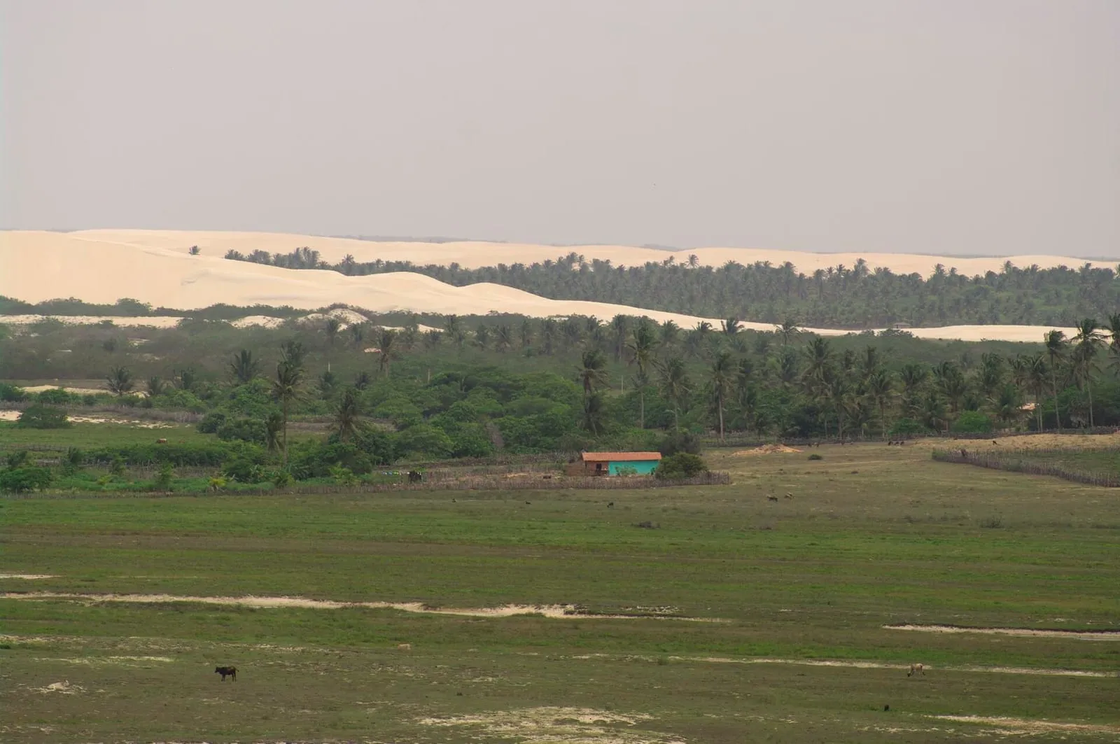 Dunas a caminho de Tatajuba