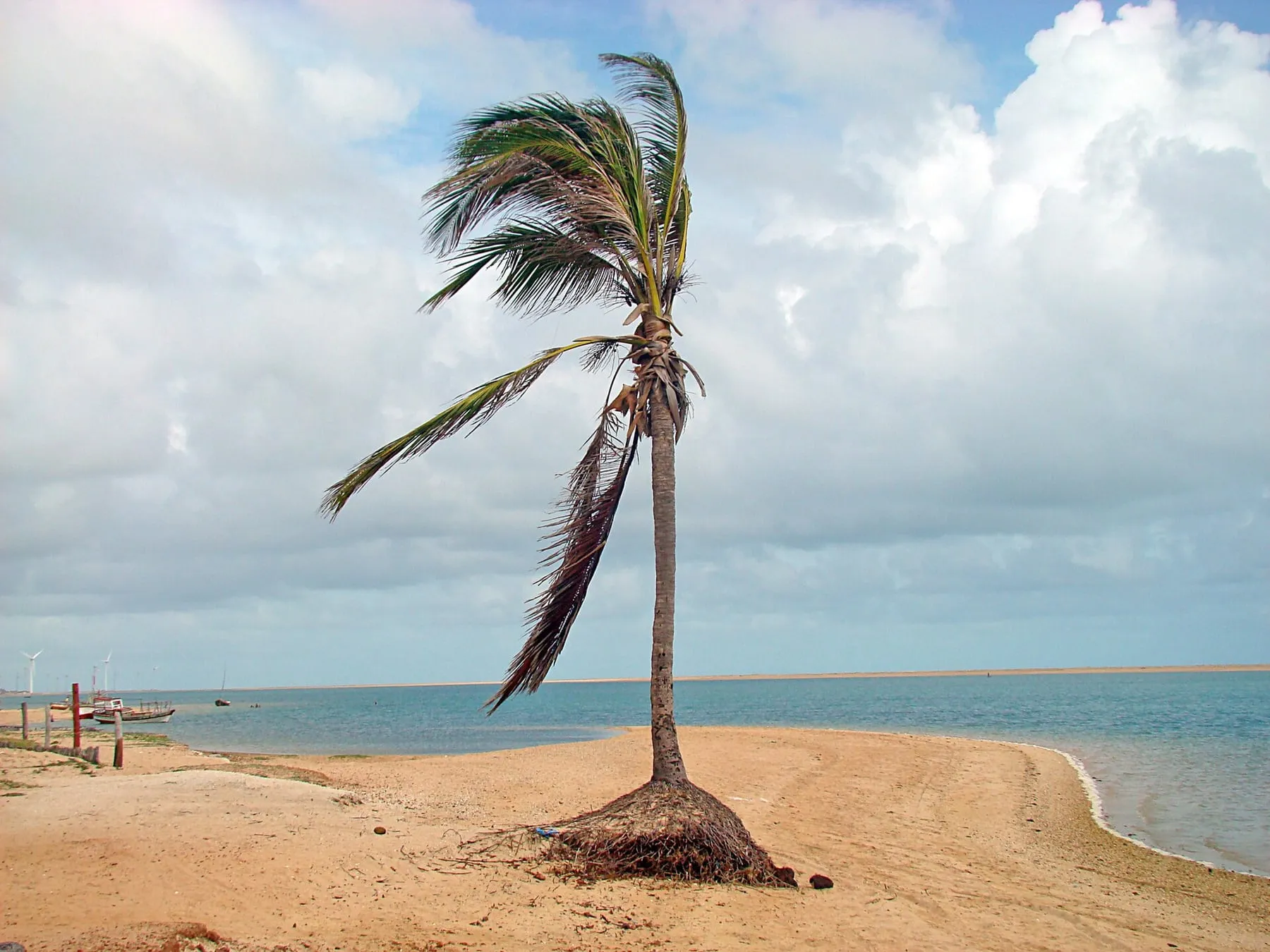 Ilha do Guajiru